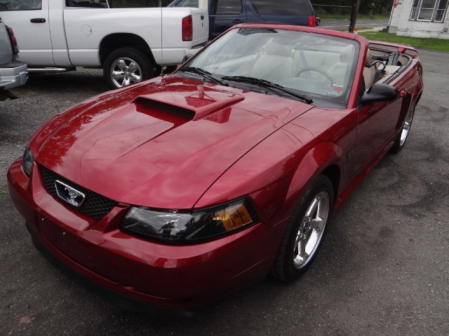 2003 Ford Mustang 2dr Conv GT Premium, available for sale in West Babylon, New York | SGM Auto Sales. West Babylon, New York