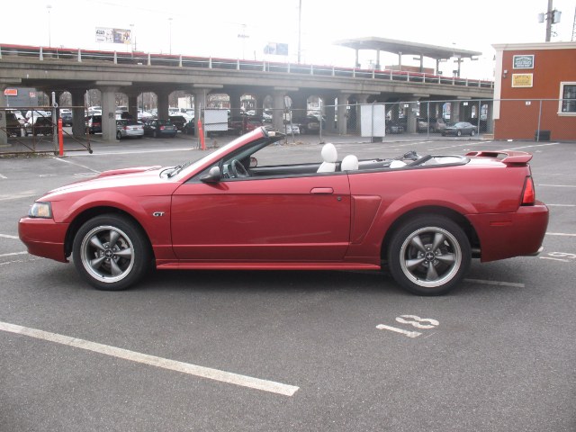 2003 Ford Mustang 2dr Conv GT Premium, available for sale in Baldwin, New York | Carmoney Auto Sales. Baldwin, New York