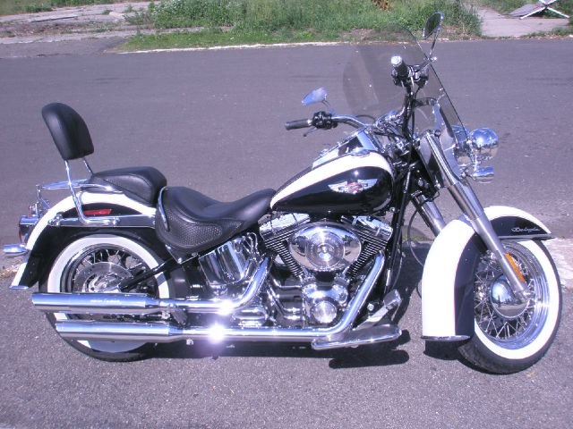 2006 Harley-Davidson Softtail deluxe Motorcycle, available for sale in Milford, Connecticut | Village Auto Sales. Milford, Connecticut
