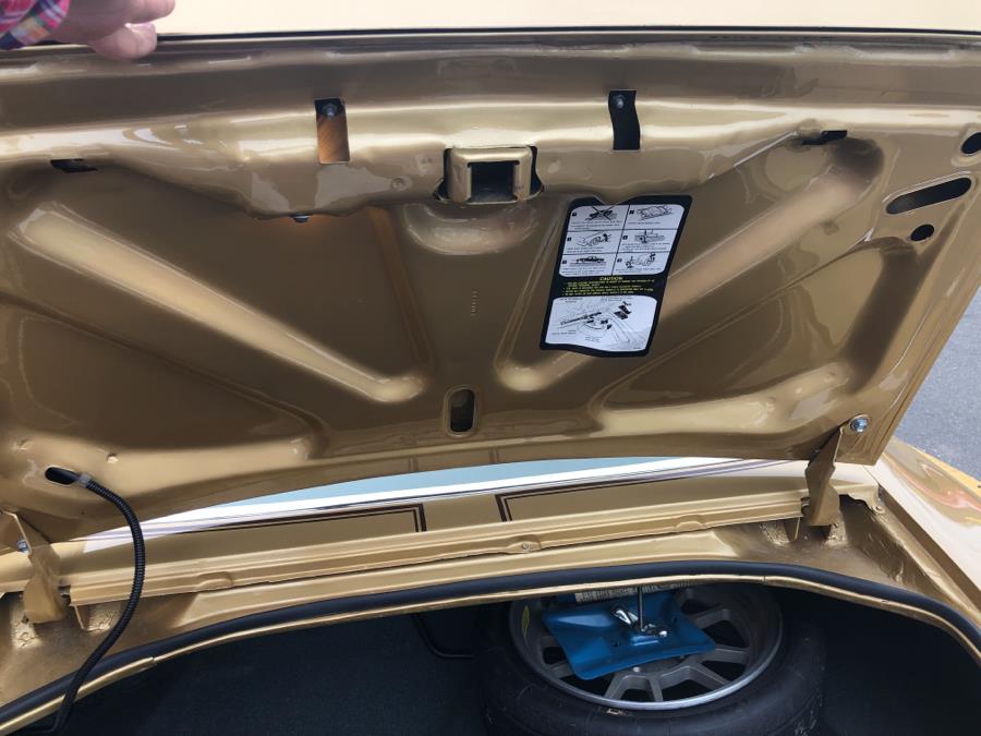 1978 Pontiac Trans Am 6.6, available for sale in Waterbury, Connecticut | National Auto Brokers, Inc.. Waterbury, Connecticut 1978 Pontiac Trans Am 6.6, available for sale in Waterbury, Connecticut | National Auto Brokers, Inc.. Waterbury, Connecticut