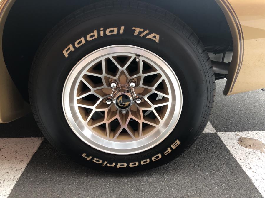 1978 Pontiac Trans Am 6.6, available for sale in Waterbury, Connecticut | National Auto Brokers, Inc.. Waterbury, Connecticut 1978 Pontiac Trans Am 6.6, available for sale in Waterbury, Connecticut | National Auto Brokers, Inc.. Waterbury, Connecticut