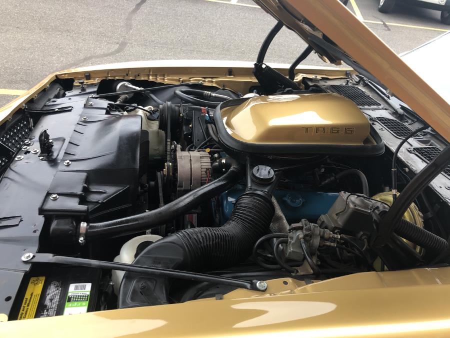 1978 Pontiac Trans Am 6.6, available for sale in Waterbury, Connecticut | National Auto Brokers, Inc.. Waterbury, Connecticut 1978 Pontiac Trans Am 6.6, available for sale in Waterbury, Connecticut | National Auto Brokers, Inc.. Waterbury, Connecticut
