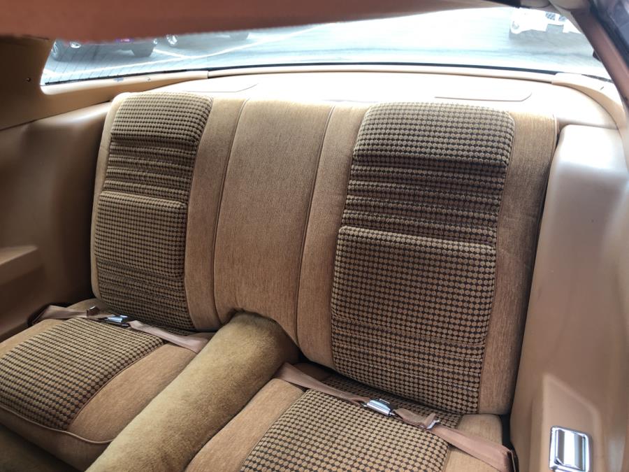 1978 Pontiac Trans Am 6.6, available for sale in Waterbury, Connecticut | National Auto Brokers, Inc.. Waterbury, Connecticut 1978 Pontiac Trans Am 6.6, available for sale in Waterbury, Connecticut | National Auto Brokers, Inc.. Waterbury, Connecticut