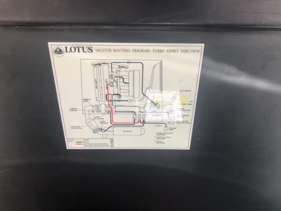 1995 Lotus Esprit S4 Turbo, available for sale in Waterbury, Connecticut | National Auto Brokers, Inc.. Waterbury, Connecticut 1995 Lotus Esprit S4 Turbo, available for sale in Waterbury, Connecticut | National Auto Brokers, Inc.. Waterbury, Connecticut