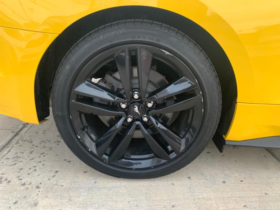 2015 Ford Mustang 2dr Fastback EcoBoost, available for sale in Brooklyn, New York | Worlds Best Auto Inc. Brooklyn, New York 2015 Ford Mustang 2dr Fastback EcoBoost, available for sale in Brooklyn, New York | Worlds Best Auto Inc. Brooklyn, New York