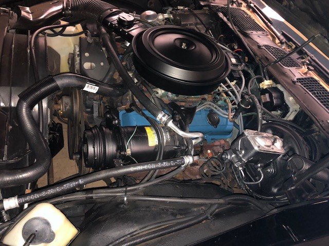 1979 Chevrolet Camaro Sport Coupe, available for sale in Waterbury, Connecticut | National Auto Brokers, Inc.. Waterbury, Connecticut 1979 Chevrolet Camaro Sport Coupe, available for sale in Waterbury, Connecticut | National Auto Brokers, Inc.. Waterbury, Connecticut