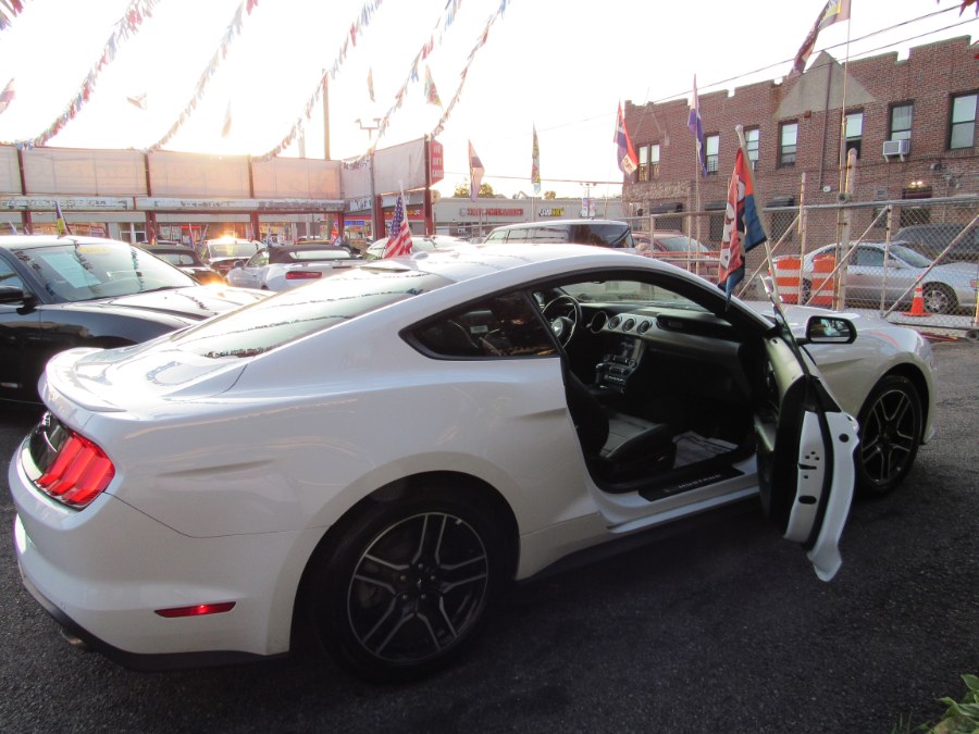 2019 Ford Mustang Ecoboost Prem, available for sale in Middle Village, New York | Road Masters II INC. Middle Village, New York 2019 Ford Mustang Ecoboost Prem, available for sale in Middle Village, New York | Road Masters II INC. Middle Village, New York