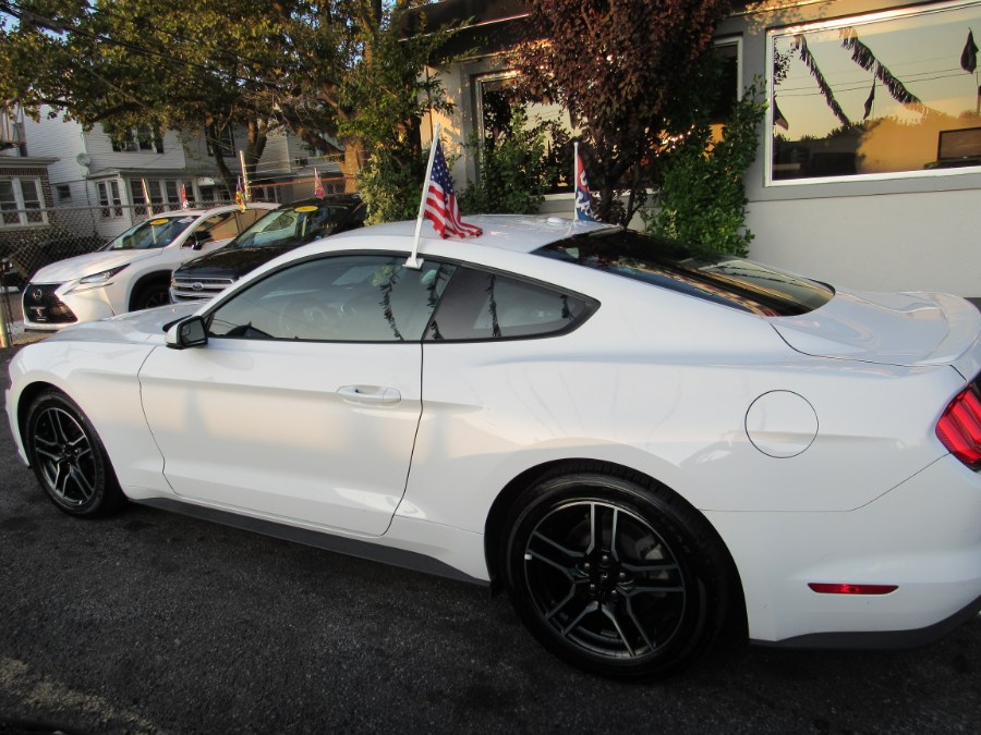 2019 Ford Mustang Ecoboost Prem, available for sale in Middle Village, New York | Road Masters II INC. Middle Village, New York 2019 Ford Mustang Ecoboost Prem, available for sale in Middle Village, New York | Road Masters II INC. Middle Village, New York