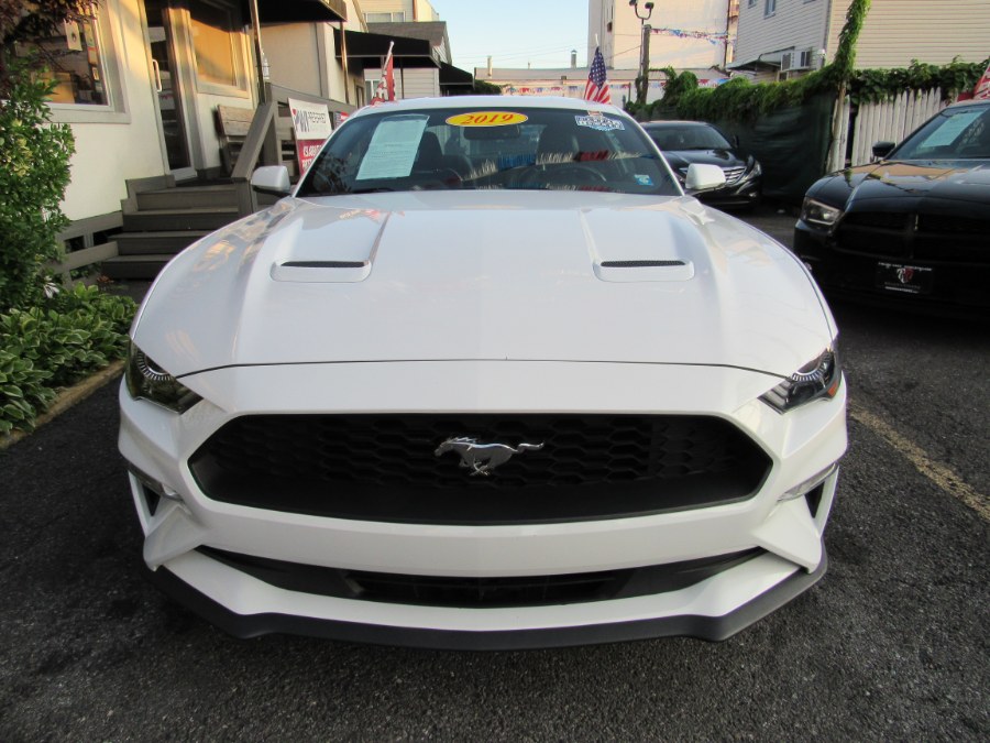 2019 Ford Mustang Ecoboost Prem, available for sale in Middle Village, New York | Road Masters II INC. Middle Village, New York 2019 Ford Mustang Ecoboost Prem, available for sale in Middle Village, New York | Road Masters II INC. Middle Village, New York