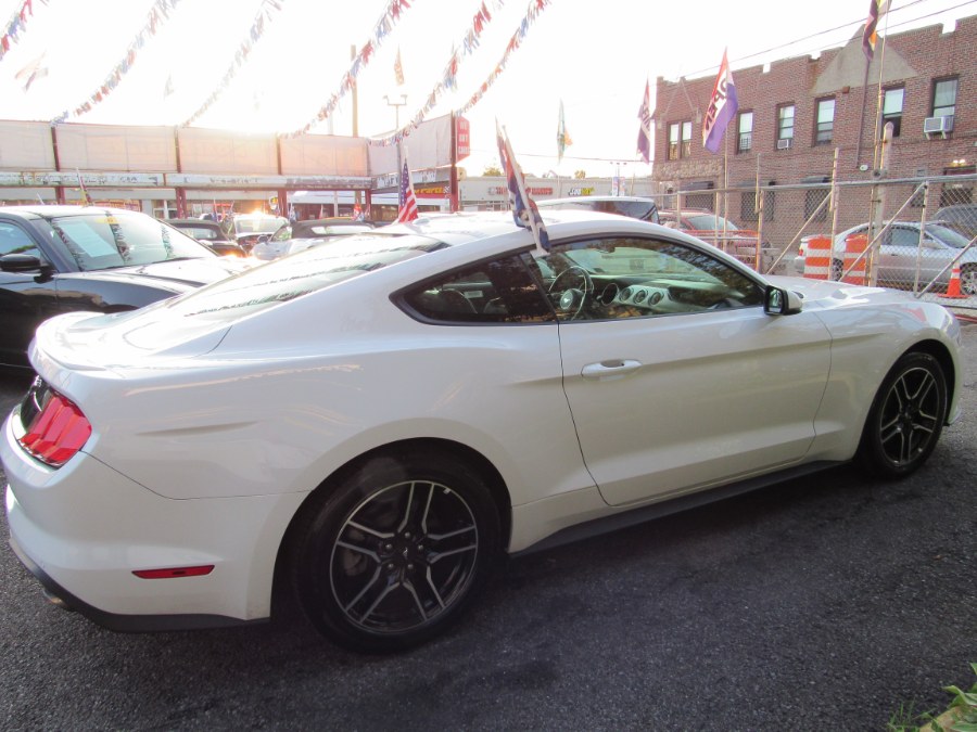 2019 Ford Mustang Ecoboost Prem, available for sale in Middle Village, New York | Road Masters II INC. Middle Village, New York 2019 Ford Mustang Ecoboost Prem, available for sale in Middle Village, New York | Road Masters II INC. Middle Village, New York