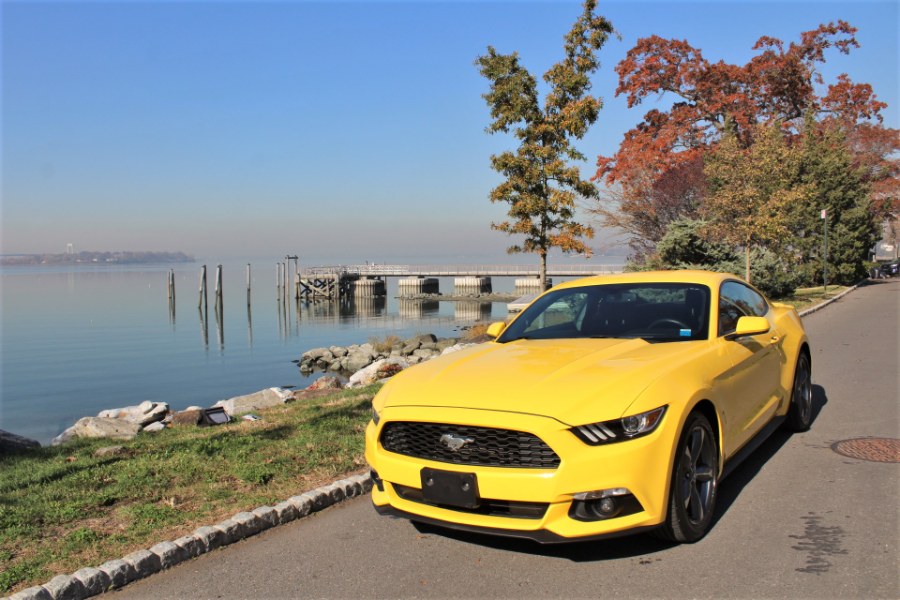 2016 Ford Mustang 2dr Fastback V6, available for sale in Great Neck, New York | Great Neck Car Buyers & Sellers. Great Neck, New York 2016 Ford Mustang 2dr Fastback V6, available for sale in Great Neck, New York | Great Neck Car Buyers & Sellers. Great Neck, New York