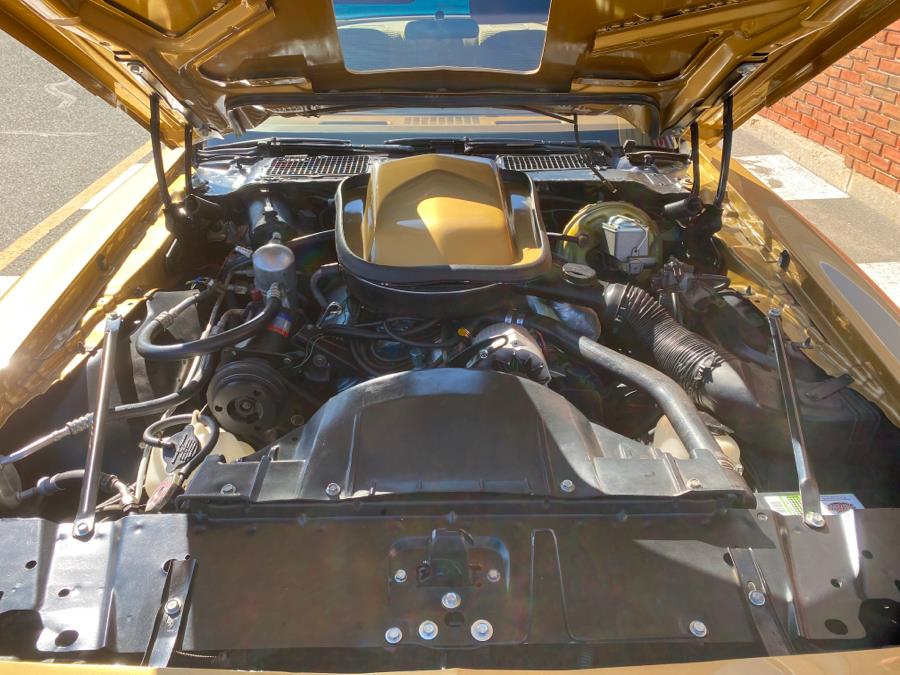 1978 Pontiac Trans am 2dr Coupe Trans Am, available for sale in Waterbury, Connecticut | National Auto Brokers, Inc.. Waterbury, Connecticut 1978 Pontiac Trans am 2dr Coupe Trans Am, available for sale in Waterbury, Connecticut | National Auto Brokers, Inc.. Waterbury, Connecticut