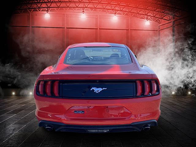 Used Ford Mustang EcoBoost Premium Fastback 2018 | Sunrise Auto Outlet. Amityville, New York Used Ford Mustang EcoBoost Premium Fastback 2018 | Sunrise Auto Outlet. Amityville, New York
