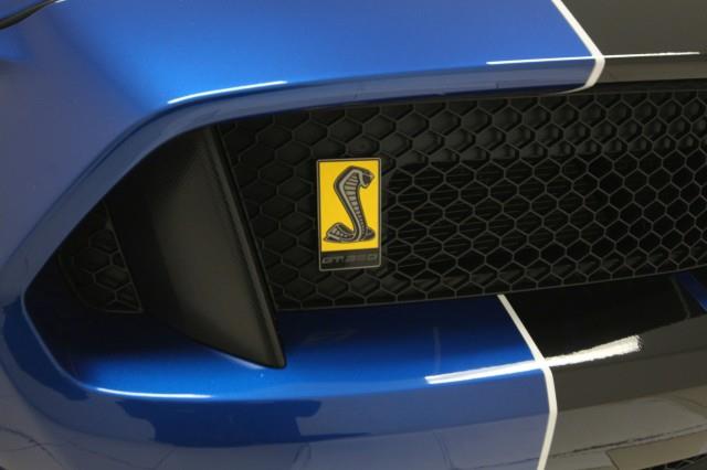2017 Ford Mustang Shelby GT350R w/ Navi & rearCam, available for sale in Maple Shade, New Jersey | Car Revolution. Maple Shade, New Jersey 2017 Ford Mustang Shelby GT350R w/ Navi & rearCam, available for sale in Maple Shade, New Jersey | Car Revolution. Maple Shade, New Jersey