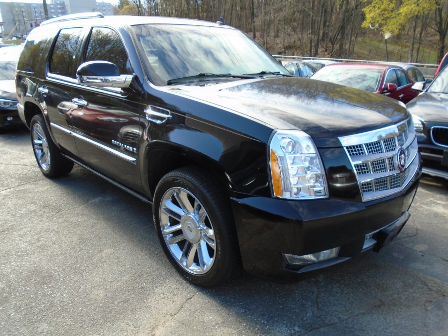 2009 Cadillac Escalade AWD 4dr Platinum Edition, available for sale in Waterbury, Connecticut | Jim Juliani Motors. Waterbury, Connecticut