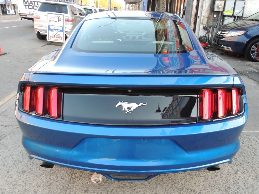 Used Ford Mustang EcoBoost Fastback 2017 | Carsbuck Inc.. Brooklyn, New York Used Ford Mustang EcoBoost Fastback 2017 | Carsbuck Inc.. Brooklyn, New York