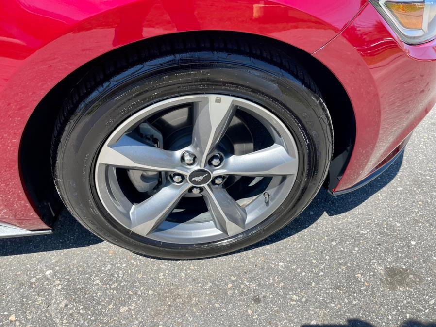 Used Ford Mustang EcoBoost Fastback 2017 | Mike And Tony Auto Sales, Inc. South Windsor, Connecticut Used Ford Mustang EcoBoost Fastback 2017 | Mike And Tony Auto Sales, Inc. South Windsor, Connecticut