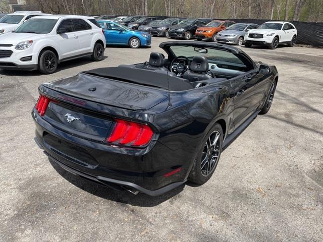 Used Ford Mustang EcoBoost Premium 2020 | Blasius Federal Road. Brookfield, Connecticut Used Ford Mustang EcoBoost Premium 2020 | Blasius Federal Road. Brookfield, Connecticut