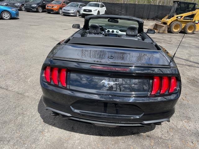 Used Ford Mustang EcoBoost Premium 2020 | Blasius Federal Road. Brookfield, Connecticut Used Ford Mustang EcoBoost Premium 2020 | Blasius Federal Road. Brookfield, Connecticut