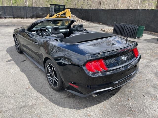 Used Ford Mustang EcoBoost Premium 2020 | Blasius Federal Road. Brookfield, Connecticut Used Ford Mustang EcoBoost Premium 2020 | Blasius Federal Road. Brookfield, Connecticut