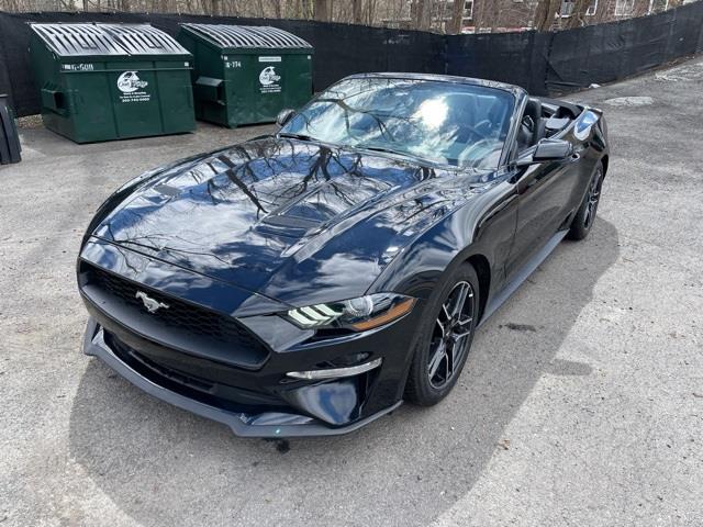 Used Ford Mustang EcoBoost Premium 2020 | Blasius Federal Road. Brookfield, Connecticut Used Ford Mustang EcoBoost Premium 2020 | Blasius Federal Road. Brookfield, Connecticut