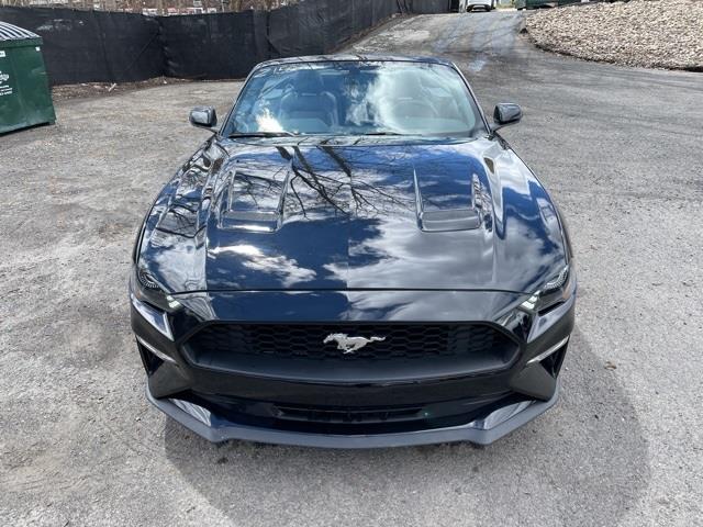 Used Ford Mustang EcoBoost Premium 2020 | Blasius Federal Road. Brookfield, Connecticut Used Ford Mustang EcoBoost Premium 2020 | Blasius Federal Road. Brookfield, Connecticut