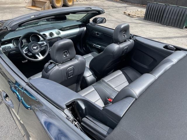 Used Ford Mustang EcoBoost Premium 2020 | Blasius Federal Road. Brookfield, Connecticut Used Ford Mustang EcoBoost Premium 2020 | Blasius Federal Road. Brookfield, Connecticut