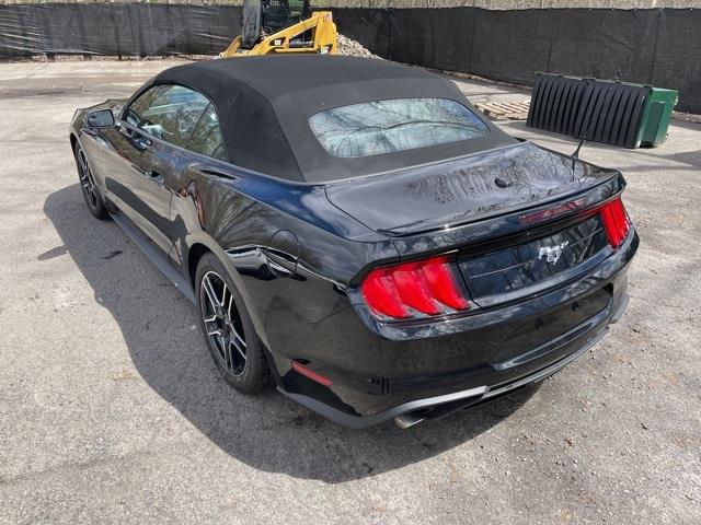 Used Ford Mustang EcoBoost Premium 2020 | Blasius Federal Road. Brookfield, Connecticut Used Ford Mustang EcoBoost Premium 2020 | Blasius Federal Road. Brookfield, Connecticut