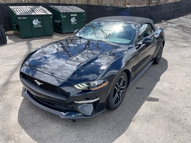 Used Ford Mustang EcoBoost Premium 2020 | Blasius Federal Road. Brookfield, Connecticut Used Ford Mustang EcoBoost Premium 2020 | Blasius Federal Road. Brookfield, Connecticut