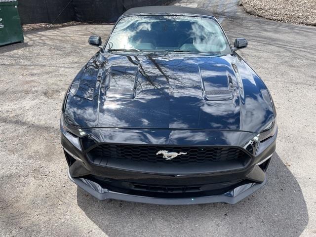 Used Ford Mustang EcoBoost Premium 2020 | Blasius Federal Road. Brookfield, Connecticut Used Ford Mustang EcoBoost Premium 2020 | Blasius Federal Road. Brookfield, Connecticut