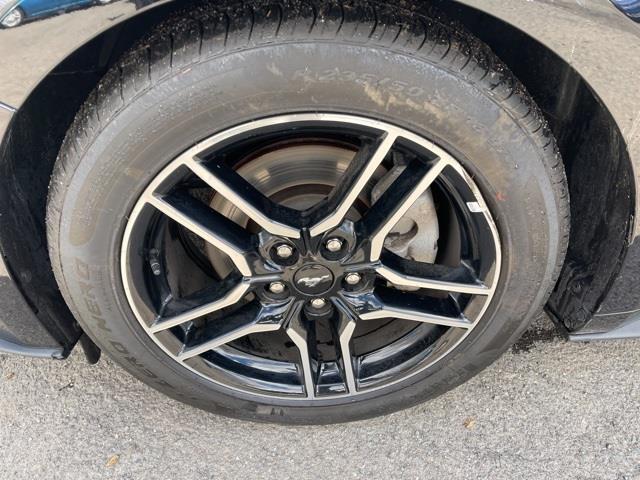 Used Ford Mustang EcoBoost Premium 2020 | Blasius Federal Road. Brookfield, Connecticut Used Ford Mustang EcoBoost Premium 2020 | Blasius Federal Road. Brookfield, Connecticut
