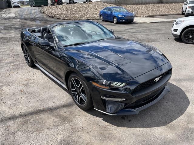 Used Ford Mustang EcoBoost Premium 2020 | Blasius Federal Road. Brookfield, Connecticut Used Ford Mustang EcoBoost Premium 2020 | Blasius Federal Road. Brookfield, Connecticut