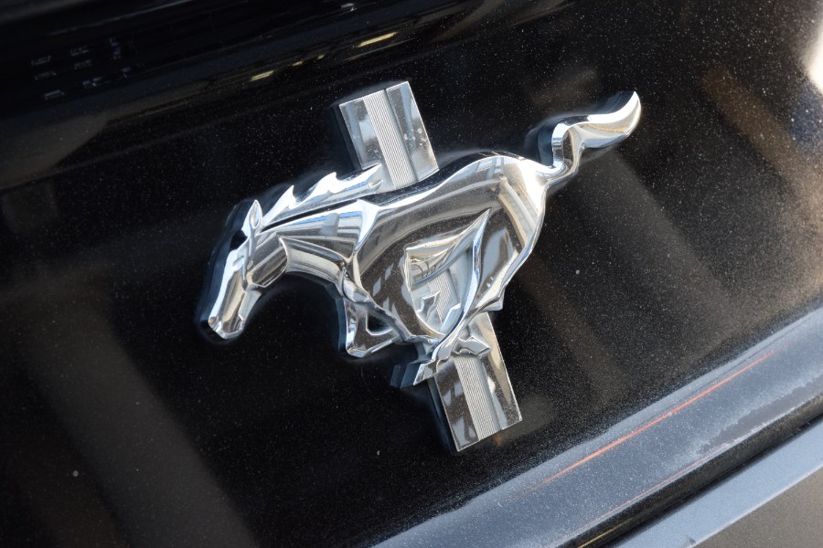 2015 Ford Mustang 2dr Fastback V6, available for sale in Winter Park, Florida | Rahib Motors. Winter Park, Florida 2015 Ford Mustang 2dr Fastback V6, available for sale in Winter Park, Florida | Rahib Motors. Winter Park, Florida