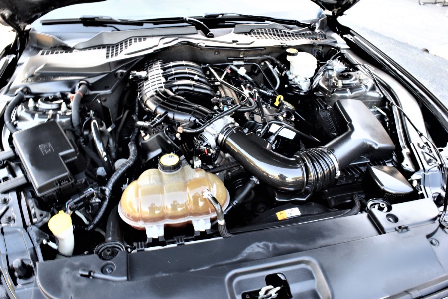 2015 Ford Mustang 2dr Fastback V6, available for sale in Winter Park, Florida | Rahib Motors. Winter Park, Florida 2015 Ford Mustang 2dr Fastback V6, available for sale in Winter Park, Florida | Rahib Motors. Winter Park, Florida