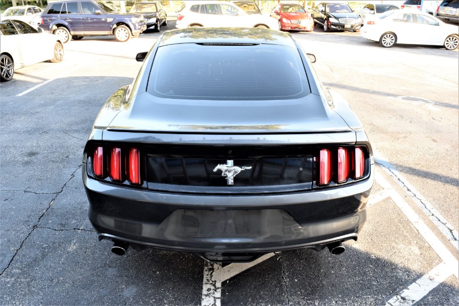 2015 Ford Mustang 2dr Fastback V6, available for sale in Winter Park, Florida | Rahib Motors. Winter Park, Florida 2015 Ford Mustang 2dr Fastback V6, available for sale in Winter Park, Florida | Rahib Motors. Winter Park, Florida