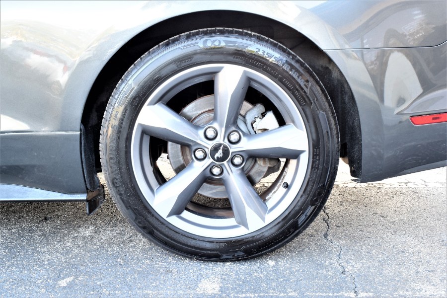 2015 Ford Mustang 2dr Fastback V6, available for sale in Winter Park, Florida | Rahib Motors. Winter Park, Florida 2015 Ford Mustang 2dr Fastback V6, available for sale in Winter Park, Florida | Rahib Motors. Winter Park, Florida