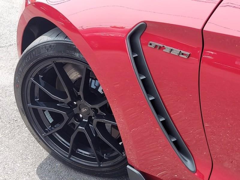 Used Ford Mustang Shelby GT350 2020 | Car Revolution. Maple Shade, New Jersey Used Ford Mustang Shelby GT350 2020 | Car Revolution. Maple Shade, New Jersey