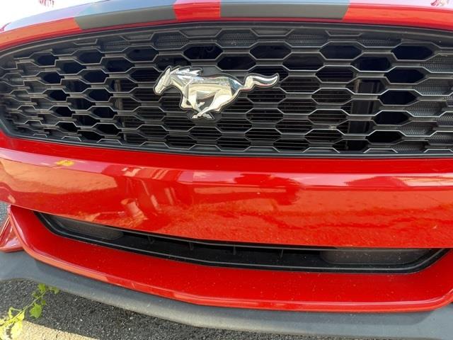 Used Ford Mustang V6 2016 | Hillside Auto Outlet. Jamaica, New York Used Ford Mustang V6 2016 | Hillside Auto Outlet. Jamaica, New York