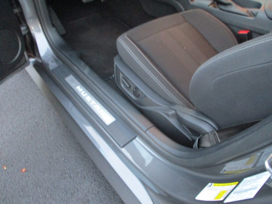 2021 Ford Mustang GT Premium Fastback, available for sale in Massapequa, New York | South Shore Auto Brokers & Sales. Massapequa, New York 2021 Ford Mustang GT Premium Fastback, available for sale in Massapequa, New York | South Shore Auto Brokers & Sales. Massapequa, New York