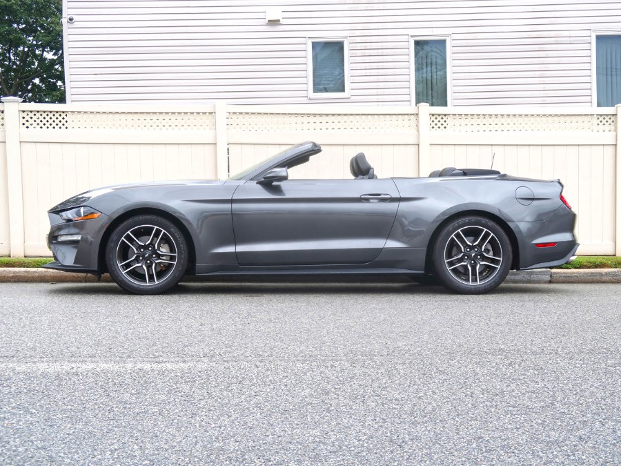 Used Ford Mustang EcoBoost 2019 | Auto Expo Ent Inc.. Great Neck, New York Used Ford Mustang EcoBoost 2019 | Auto Expo Ent Inc.. Great Neck, New York