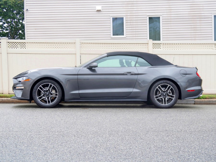 Used Ford Mustang EcoBoost 2019 | Auto Expo Ent Inc.. Great Neck, New York Used Ford Mustang EcoBoost 2019 | Auto Expo Ent Inc.. Great Neck, New York