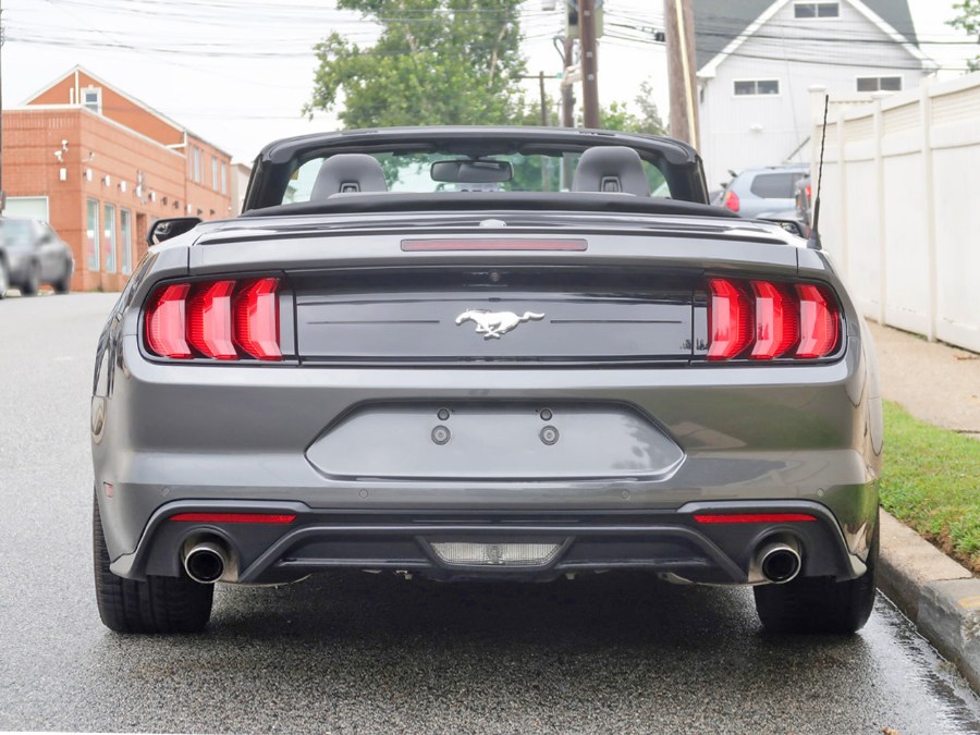 Used Ford Mustang EcoBoost 2019 | Auto Expo Ent Inc.. Great Neck, New York