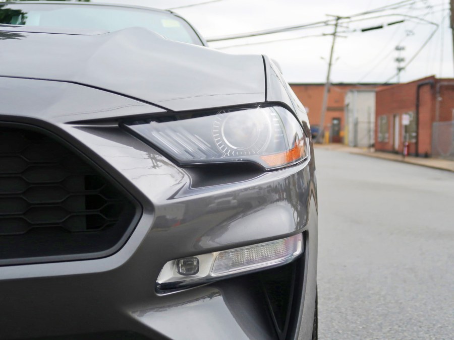 Used Ford Mustang EcoBoost 2019 | Auto Expo Ent Inc.. Great Neck, New York Used Ford Mustang EcoBoost 2019 | Auto Expo Ent Inc.. Great Neck, New York