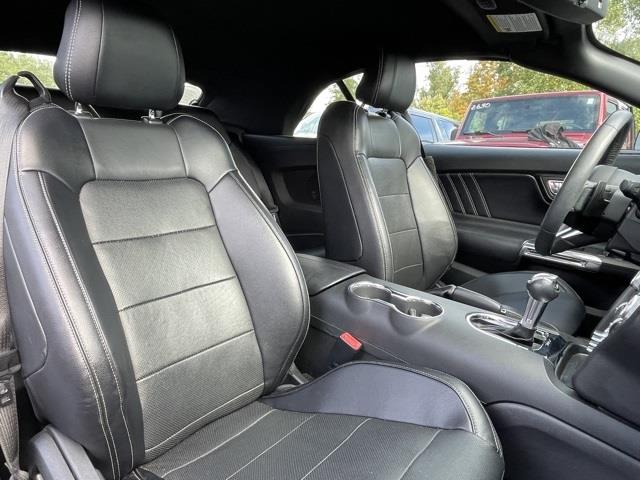 Used Ford Mustang GT Premium 2016 | Blasius Federal Road. Brookfield, Connecticut Used Ford Mustang GT Premium 2016 | Blasius Federal Road. Brookfield, Connecticut