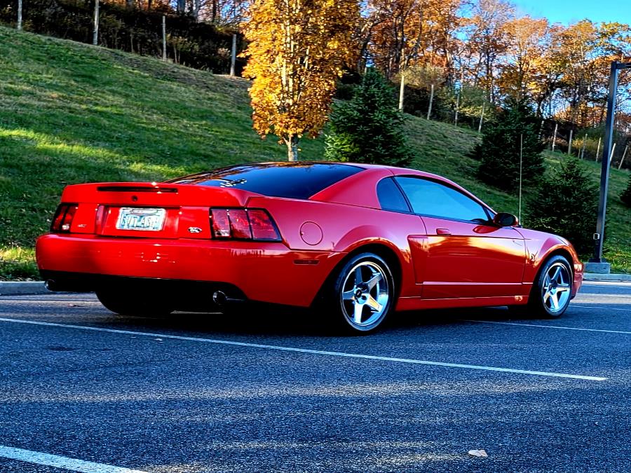 Used Ford Mustang 2dr Cpe SVT Cobra 10th Anniv 2003 | Tony's Auto Sales. Waterbury, Connecticut Used Ford Mustang 2dr Cpe SVT Cobra 10th Anniv 2003 | Tony's Auto Sales. Waterbury, Connecticut