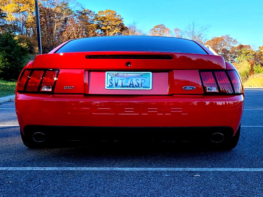 Used Ford Mustang 2dr Cpe SVT Cobra 10th Anniv 2003 | Tony's Auto Sales. Waterbury, Connecticut Used Ford Mustang 2dr Cpe SVT Cobra 10th Anniv 2003 | Tony's Auto Sales. Waterbury, Connecticut