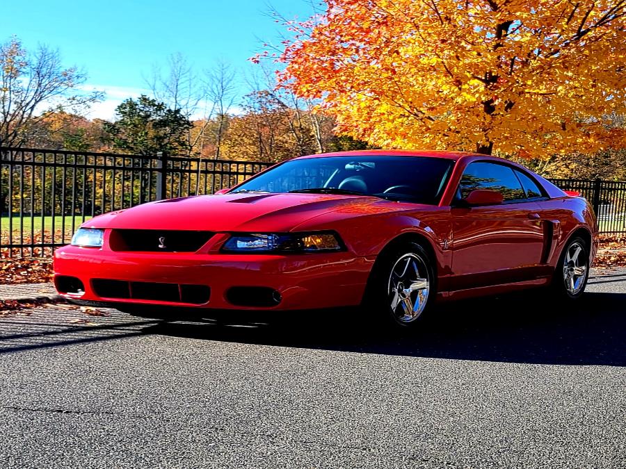 Used Ford Mustang 2dr Cpe SVT Cobra 10th Anniv 2003 | Tony's Auto Sales. Waterbury, Connecticut Used Ford Mustang 2dr Cpe SVT Cobra 10th Anniv 2003 | Tony's Auto Sales. Waterbury, Connecticut