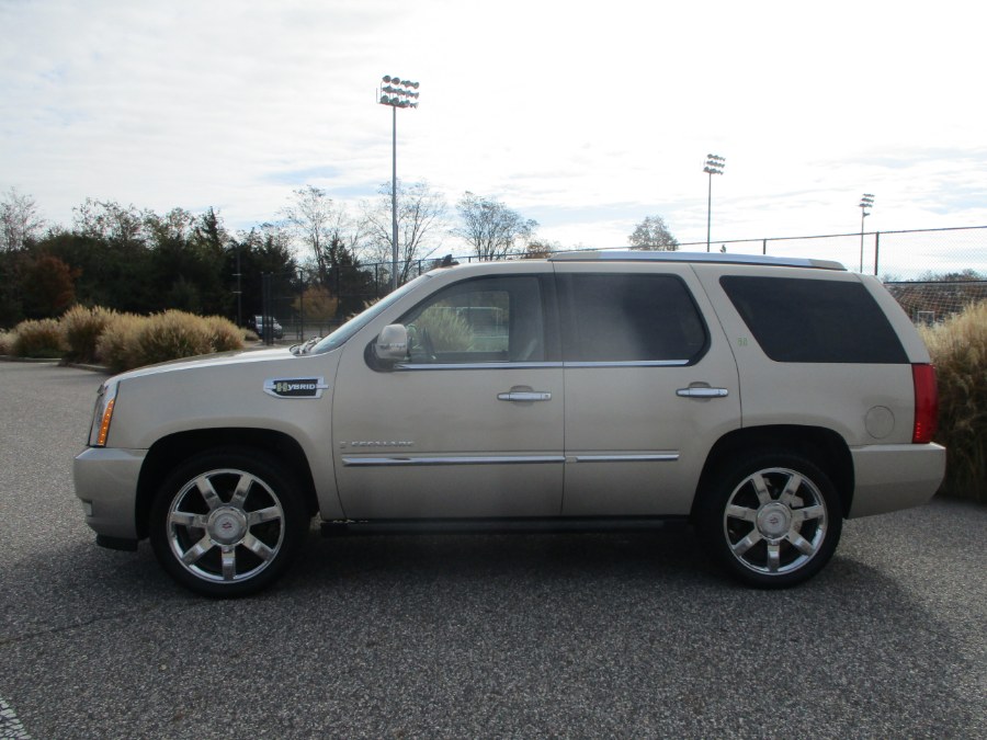 2009 Cadillac Escalade Hybrid 4WD 4dr, available for sale in Massapequa, New York | South Shore Auto Brokers & Sales. Massapequa, New York 2009 Cadillac Escalade Hybrid 4WD 4dr, available for sale in Massapequa, New York | South Shore Auto Brokers & Sales. Massapequa, New York