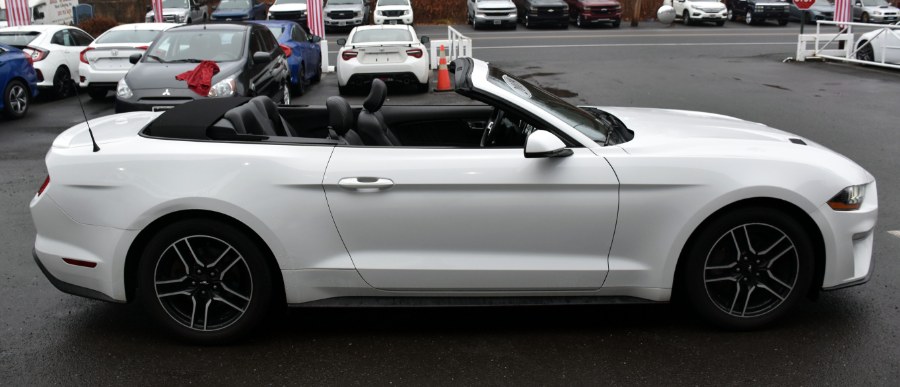 Used Ford Mustang EcoBoost Premium Convertible 2019 | Highline Car Connection. Waterbury, Connecticut Used Ford Mustang EcoBoost Premium Convertible 2019 | Highline Car Connection. Waterbury, Connecticut