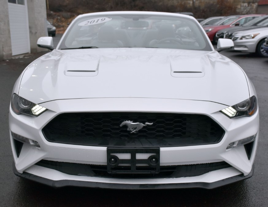 Used Ford Mustang EcoBoost Premium Convertible 2019 | Highline Car Connection. Waterbury, Connecticut Used Ford Mustang EcoBoost Premium Convertible 2019 | Highline Car Connection. Waterbury, Connecticut